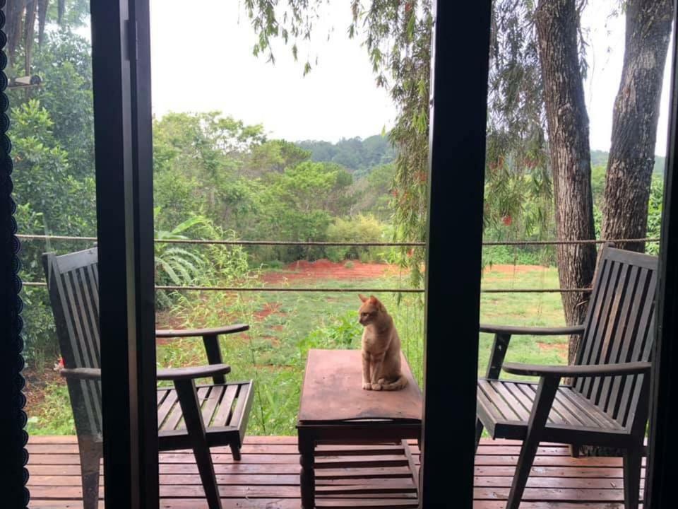 L'Amant Homestay Da Lat Exterior photo